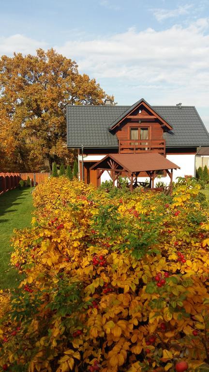 Apartment Pozytywka *